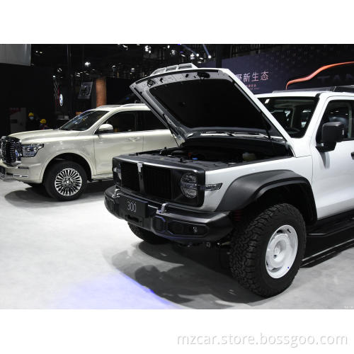 China Factory Direct Supply Great wall Tank 300 SUV 2023 Model 2.0T Cuirass 02 NEW cars 8-gear gasoline car
